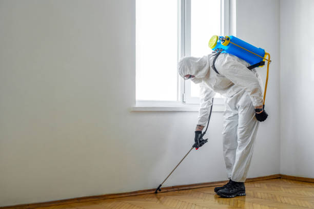 Best Residential Pest Control  in Jensen Beach, FL