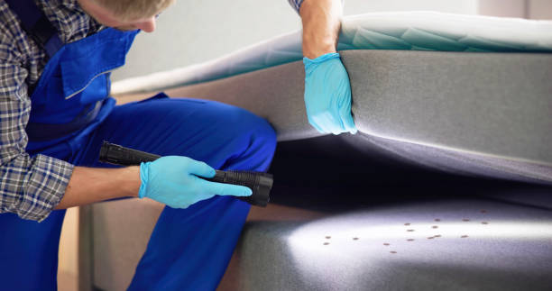 Best Cockroach Control Services  in Jensen Beach, FL