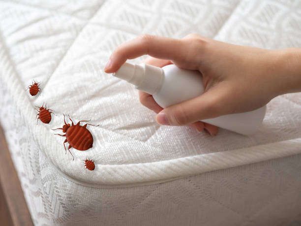 Best Pest Inspection Near Me  in Jensen Beach, FL