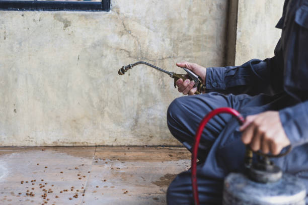 Best Pest Prevention Services  in Jensen Beach, FL